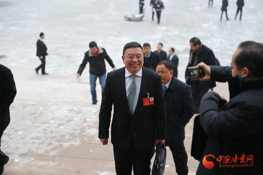 【聚焦2020甘肅兩會】“兩會”代表、委員風(fēng)采掠影（組圖）