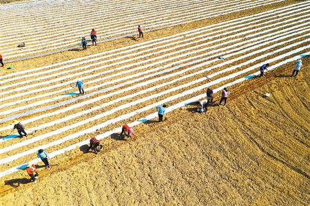 隴南成縣春耕生產(chǎn)有序開(kāi)展（圖）