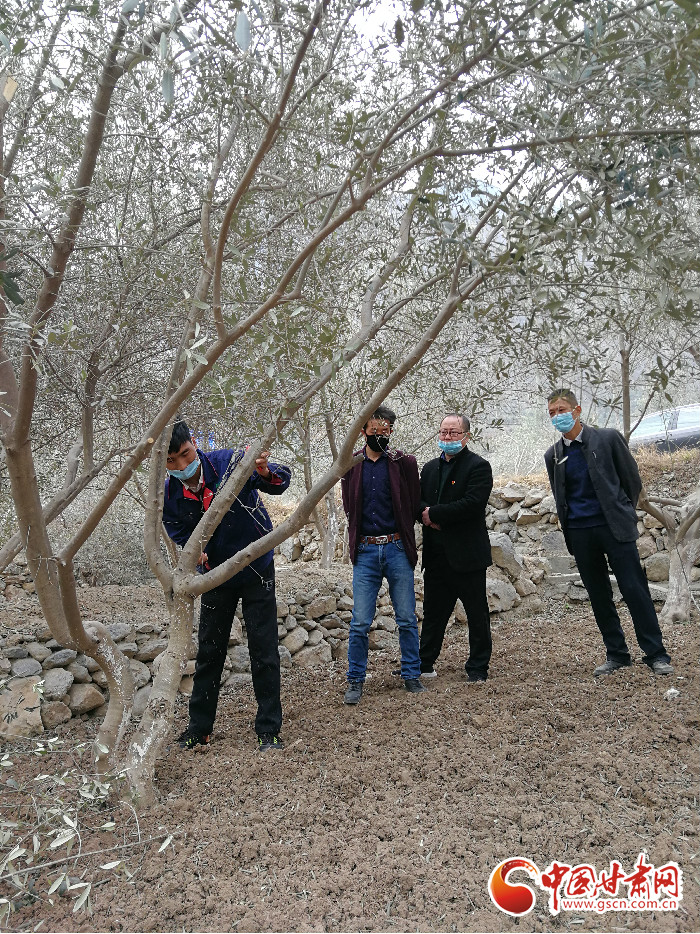 【甘肅全民戰(zhàn)“疫”】防疫“不下”生產(chǎn)線“青果果”培育正當時