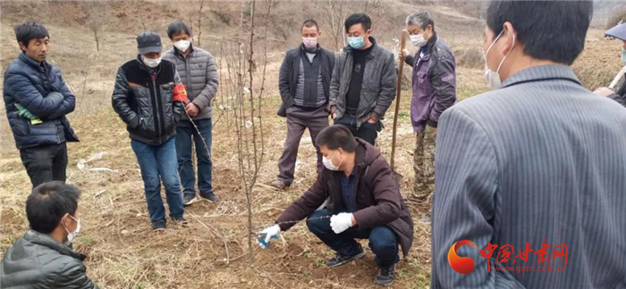 【甘肅全民戰(zhàn)“疫”】隴南徽縣：花椒田里培訓(xùn)忙，戰(zhàn)疫春耕兩不誤