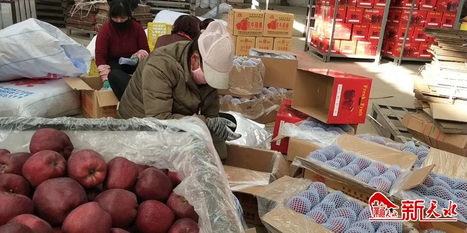 天水“花?！弊罱悬c(diǎn)“牛”