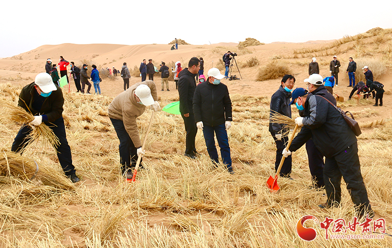 不“疫”樣的植樹節(jié)！甘肅省新聞戰(zhàn)線工作者攜手播綠“八步沙”（圖+視頻）