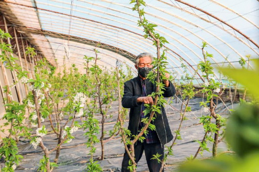 銅城復蘇：春光明媚，邀你共賞芳華（組圖）