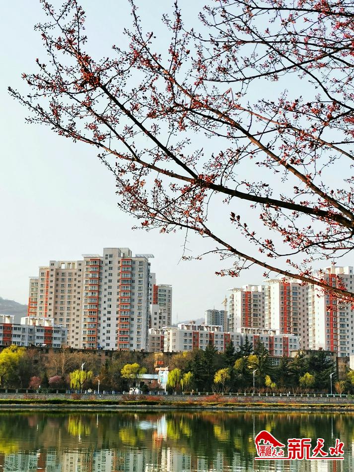 春天，古城天水的十個(gè)美麗瞬間