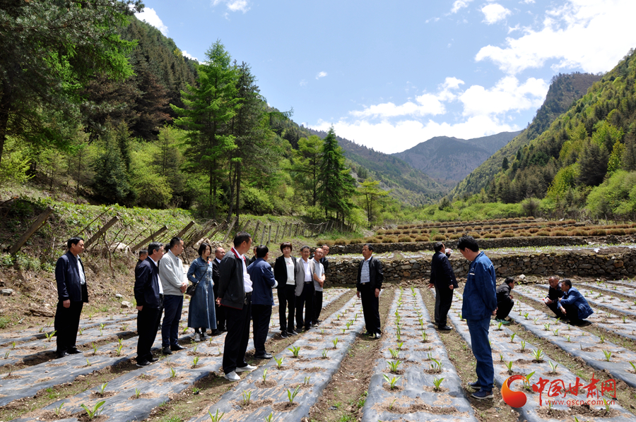 白龍江博峪河保護局開展產(chǎn)業(yè)發(fā)展、義務(wù)勞動成果現(xiàn)場觀摩交流活動