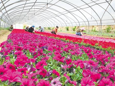 決戰(zhàn)決勝脫貧攻堅(jiān)主題全媒體集中采訪(fǎng)團(tuán)走進(jìn)蘭州