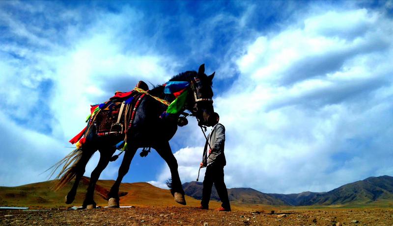 好消息！天祝被命名為“中國高原走馬之鄉(xiāng)”