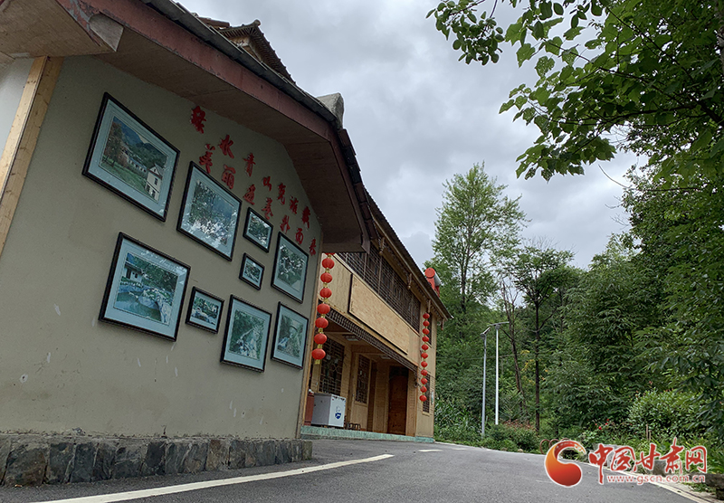 【走向我們的小康生活】村美、業(yè)興、民富……康縣何家莊描繪鄉(xiāng)村振興新畫卷（圖）