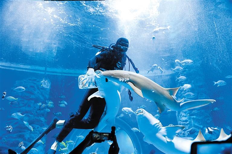 蘭州海洋公園 金昌火星1號(hào)基地 這個(gè)暑假我們“上天入?！?>
        </a><em>蘭州海洋公園 金昌火星1號(hào)基地 這個(gè)暑假我們“上天入?！?/em></li>
    <li><a  target=