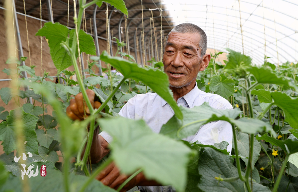 【小隴畫報(bào)·100期】筑夢(mèng)黃花灘：老照片里映過往 新生活中蘊(yùn)未來