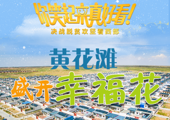 【你笑起來真好看】黃花灘盛開幸?；ǎ▓D解）