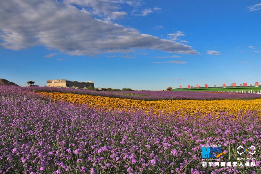 【“飛閱”中國】鳳凰花?！罢钩帷钡は伎?>
        </a><em>【“飛閱”中國】鳳凰花?！罢钩帷钡は伎?/em></li>
    <li><a  target=