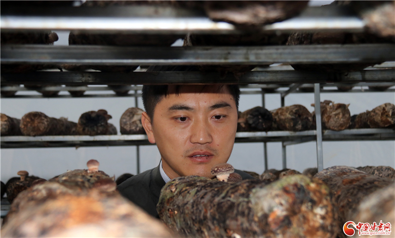 110年！何家溝村終于有了集體經(jīng)濟——中建二局黨建結(jié)對幫扶成效顯著