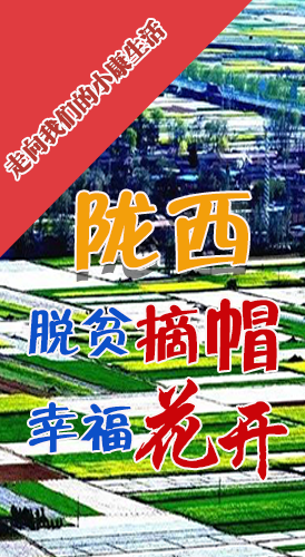 【走向我們的小康生活】長圖|隴西：脫貧摘帽 幸?；ㄩ_