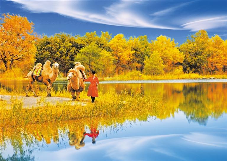 國慶長假，去金塔遇見最美胡楊