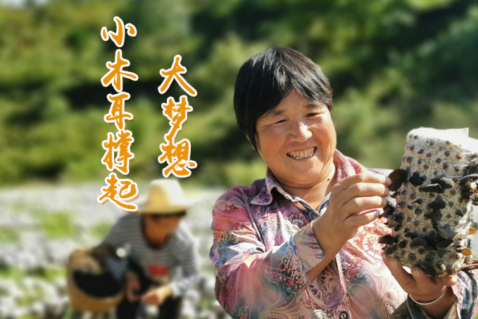 海報(bào)丨他們，乘“豐”破浪！