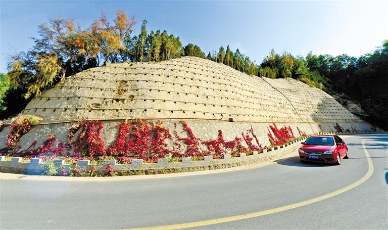 近90度陡坡上種樹！蘭州南北兩山綠化出新招