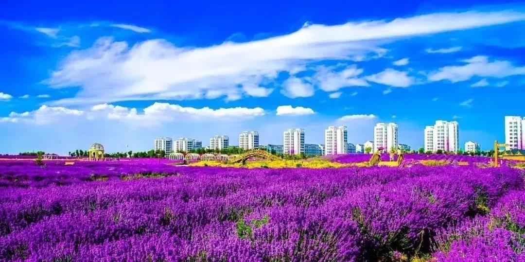 喜訊！金昌蟬聯(lián)全國文明城市