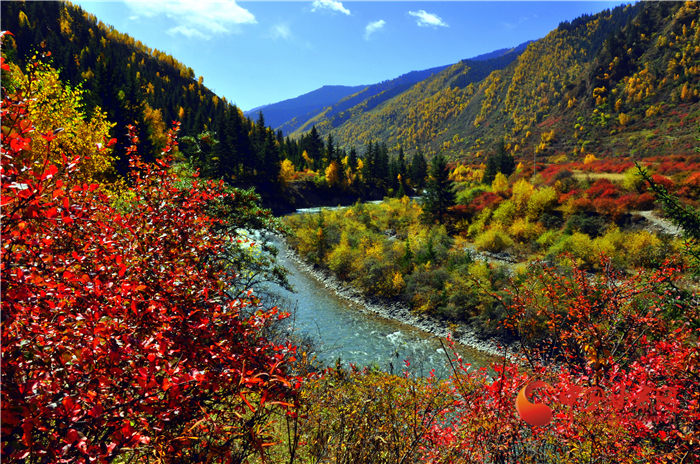 【擔(dān)使命 聚同心 促巨變 省直部門(mén)落實(shí)脫貧攻堅(jiān)責(zé)任工作紀(jì)實(shí)】綠水青山戰(zhàn)貧困 甘肅省生態(tài)扶貧帶動(dòng)百姓增收