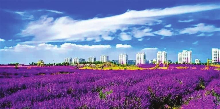 “三連冠”！金昌蟬聯(lián)全國文明城市