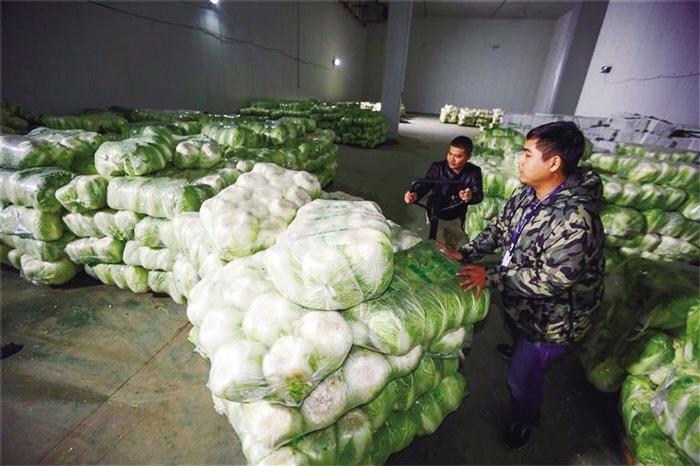 蘭州市已儲備1萬噸冬春蔬菜以耐貯存、易周轉(zhuǎn)品種為主