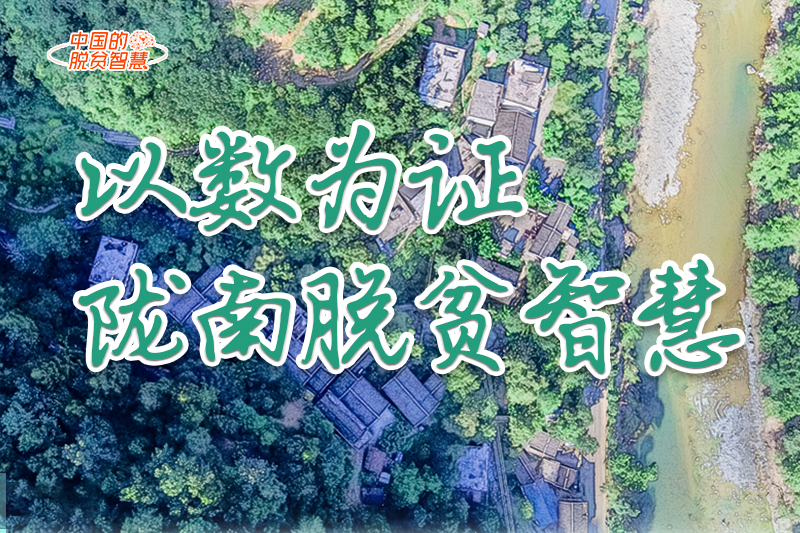 【中國的脫貧智慧】以數(shù)為證！隴南脫貧智慧來了！