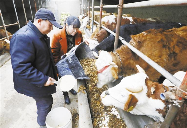 我和我的家鄉(xiāng)丨定西臨洮縣黨家墩村：“?！碑a(chǎn)業(yè)帶來“?！比兆?>
        </a><em>我和我的家鄉(xiāng)丨定西臨洮縣黨家墩村：“?！碑a(chǎn)業(yè)帶來“?！比兆?/em></li>
    <li><a  target=