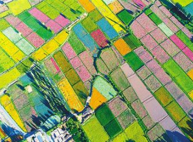 【邁好第一步 見(jiàn)到新氣象】甘肅發(fā)展特色產(chǎn)業(yè)推動(dòng)脫貧攻堅(jiān)銜接鄉(xiāng)村振興報(bào)道之五  織密產(chǎn)業(yè)“安全網(wǎng)” 農(nóng)戶吃上“定心丸”