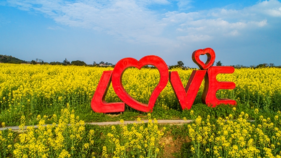 “l(fā)ove”創(chuàng)意拍照墻。廖濤 攝