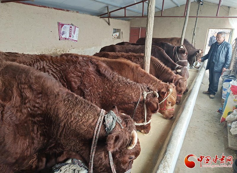 平?jīng)鰶艽ǎ骸芭！碑a(chǎn)業(yè)鋪就致富路