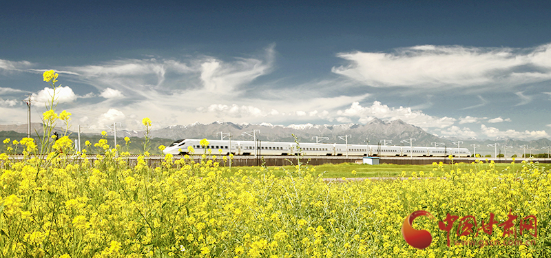 坐上火車“邂逅”春天，你可以這樣享“鐵路游”