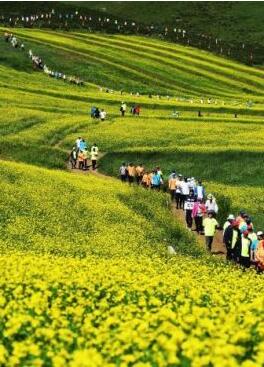 甘肅明確農(nóng)民進(jìn)城落戶:不以退出承包地、林地等為條件