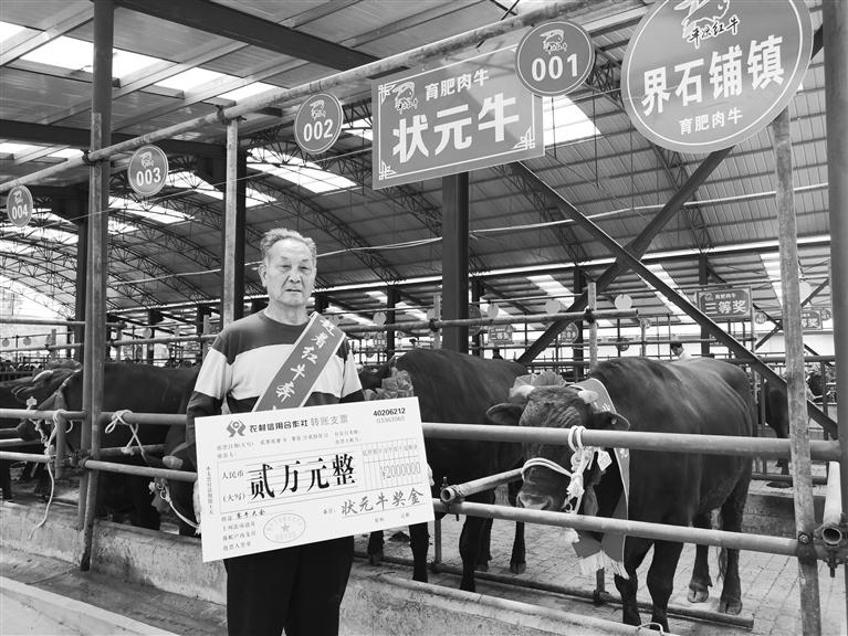 120頭“平?jīng)黾t?！膘o寧爭霸