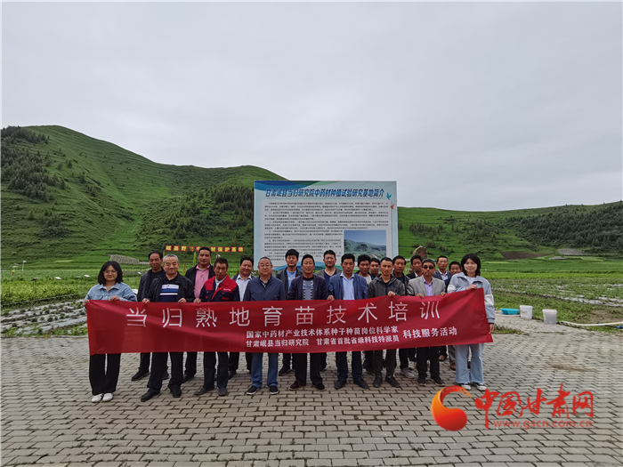 定西岷縣：當歸熟地育苗培訓到田間“輕簡化”耕種增效益