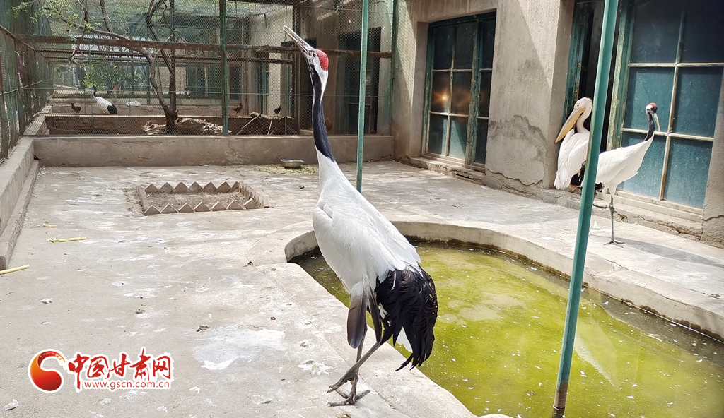 蘭州公安提醒市民：非緊急非必要，不出境