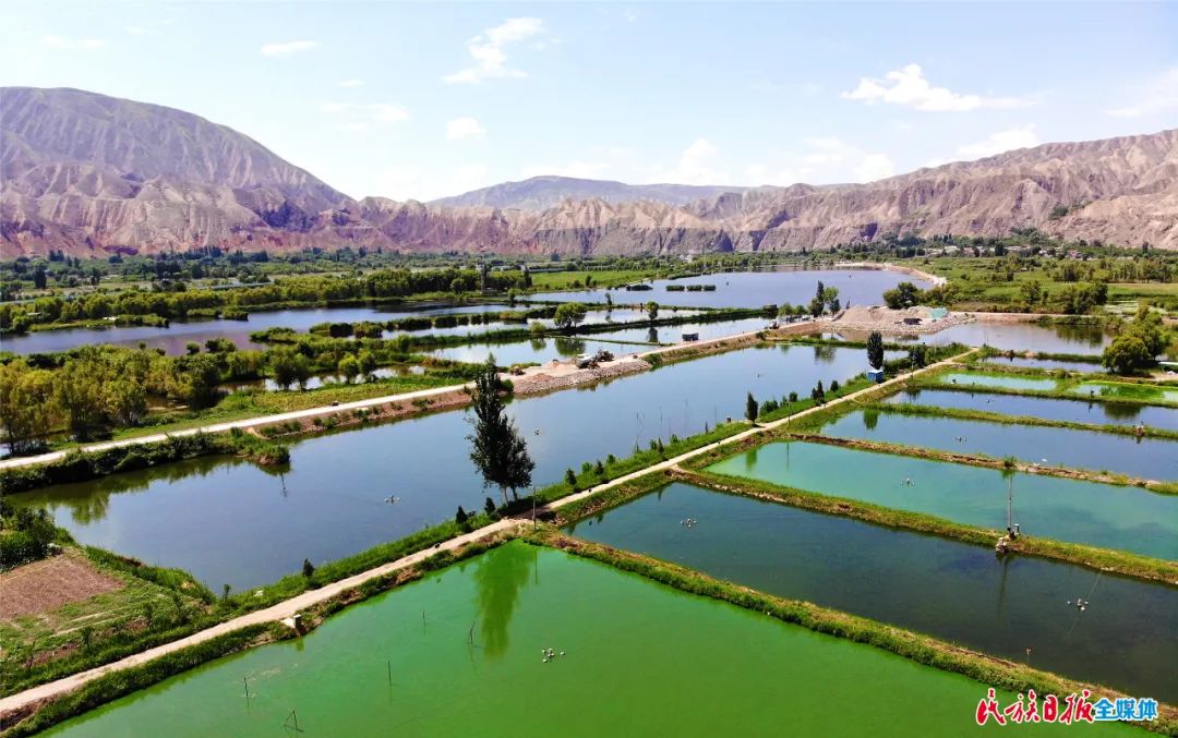 一秒入畫！太極島濕地風(fēng)光秀麗