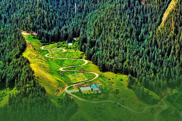 海報(bào)|祁連山保護(hù)區(qū)生態(tài)環(huán)境問(wèn)題整改全面完成！