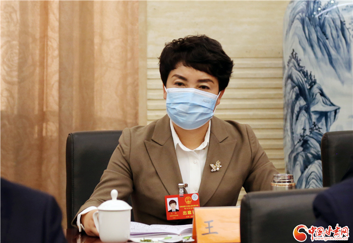 【聚焦2022甘肅兩會(huì)·代表風(fēng)采】省人大代表王玲：關(guān)注農(nóng)民心聲 帶領(lǐng)村民致富