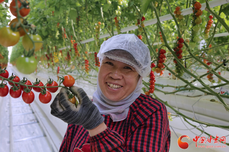 【小康路上看老鄉(xiāng)】 武威古浪：富民新村到處是機會  日子越過越紅火