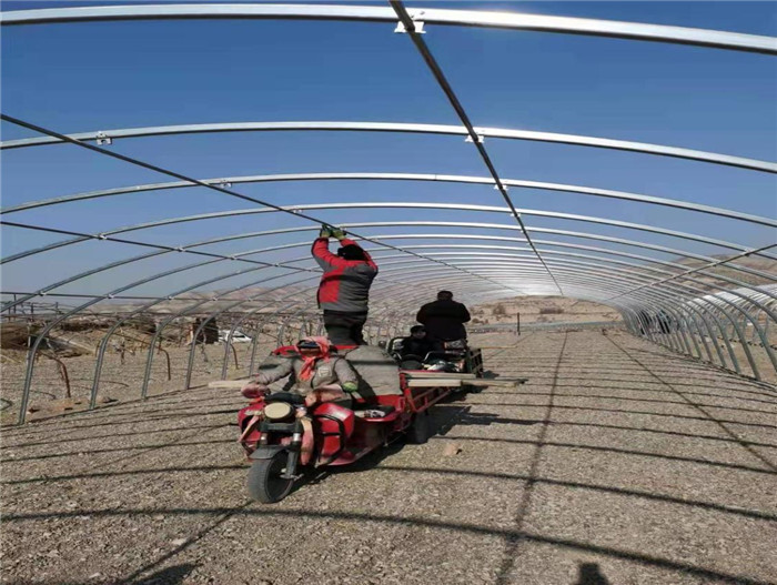 1645779102719029.jpg 高架大棚.jpg