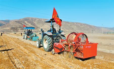 定西市隴西縣17個鄉(xiāng)鎮(zhèn)的農(nóng)機合作社、農(nóng)機手參加了農(nóng)機技能比賽和培訓(xùn)