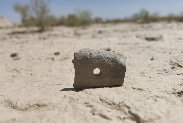 插圖1：河西走廊上遺存的古陶片。攝影：陳曉斌。拍攝日期：2020年6月。