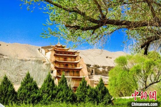 4月的敦煌莫高窟景區(qū)春意盎然。(資料圖) 王斌銀 攝