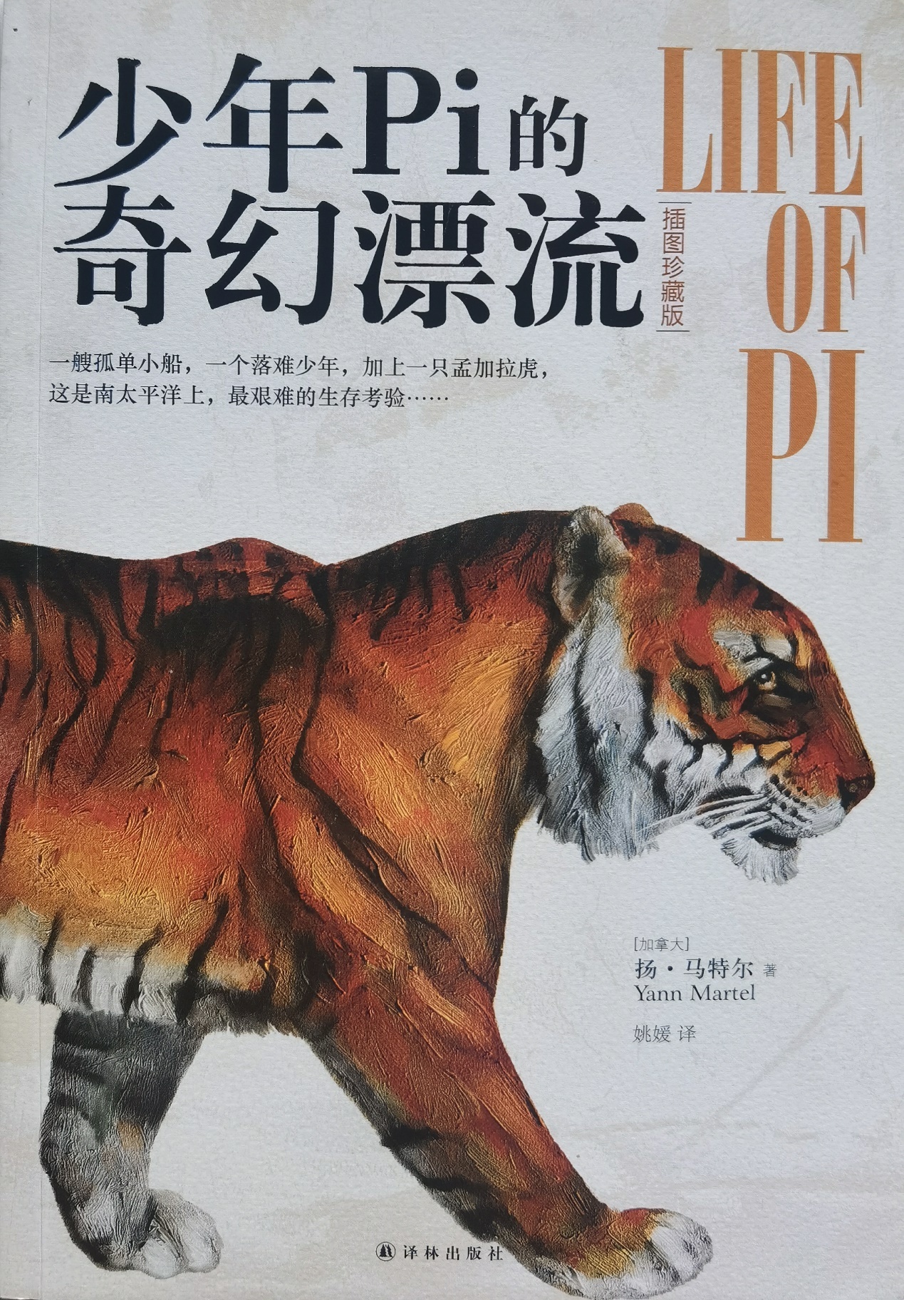 插圖1：揚(yáng)？馬特爾的小說《少年pi的奇幻漂流》封面