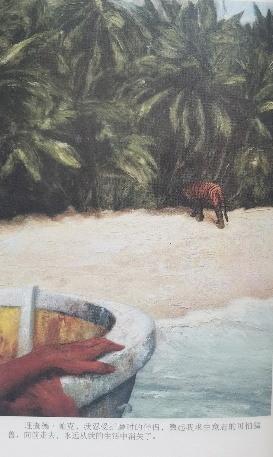 插圖3：揚(yáng)？馬特爾的小說《少年pi的奇幻漂流》插圖