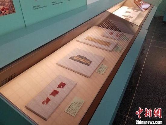 圖為展覽現(xiàn)場(chǎng)?！《鼗脱芯吭汗﹫D