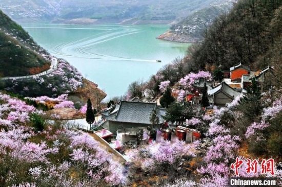 甘肅平?jīng)鍪惺侵袊?guó)優(yōu)秀旅游城市。圖為平?jīng)鲠轻忌较率锾一ㄊ㈤_(kāi)。(資料圖) 平?jīng)鍪形麄鞑抗﹫D