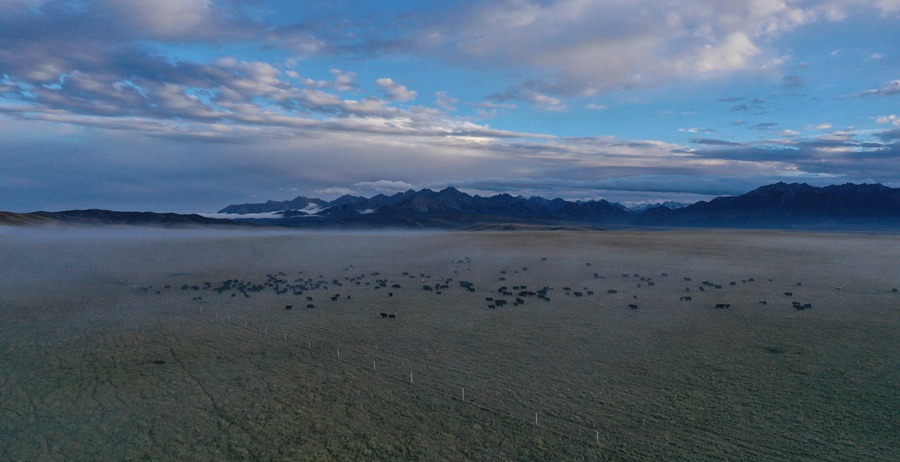 甘肅山丹馬場(chǎng)：峽谷云霧似仙境。 王超攝
