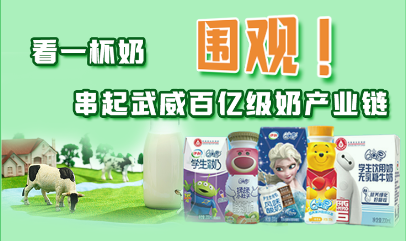 圖解|圍觀(guān)！看一杯奶串起武威百億級(jí)奶產(chǎn)業(yè)鏈