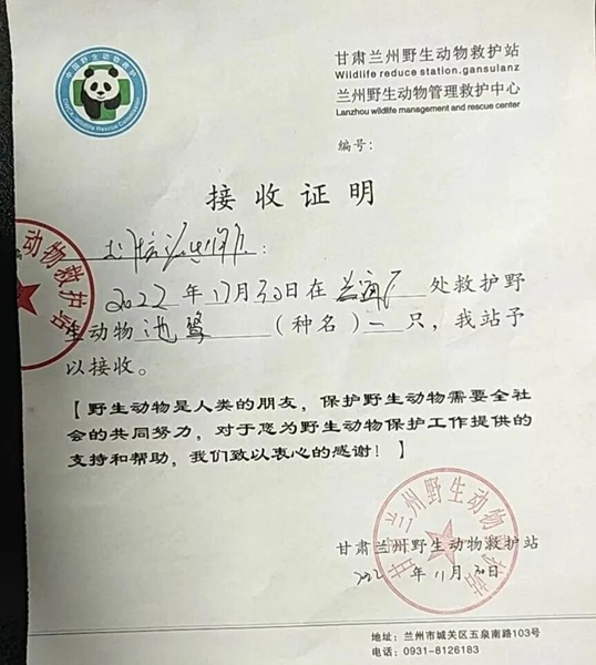 受到救助的池鷺被蘭州野生動物保護(hù)站接收。（蘭州市公安局七里河分局供圖）